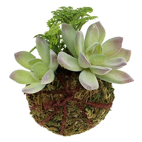 Floristik24 Kokedama Verde Artificial Ø8cm