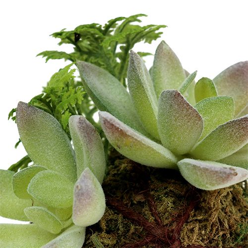 Floristik24 Kokedama Verde Artificial Ø8cm