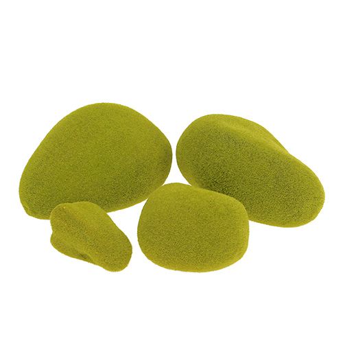 Floristik24 Pedras de musgo misturam verde 5,5-13 cm 12 unidades