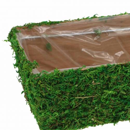 Floristik24 Plantador Verde Musgo 20×10cm H9cm