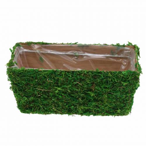 Floristik24 Plantador Verde Musgo 20×10cm H9cm