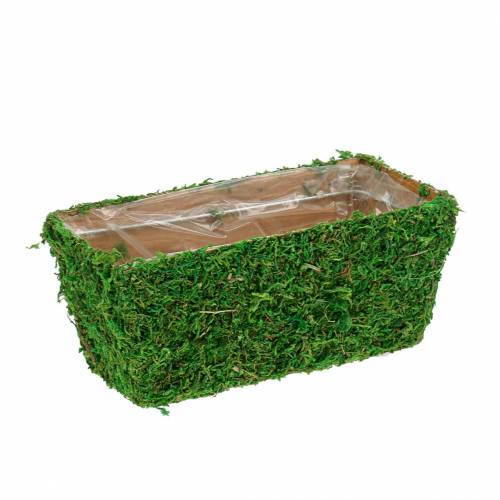 Floristik24 Plantador Verde Musgo 20×10cm H9cm