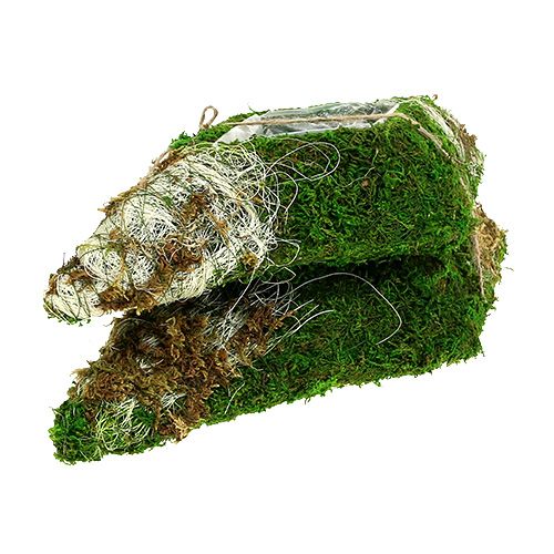 Floristik24 Almofada de musgo losango de 34 cm x 19 cm 2 unidades