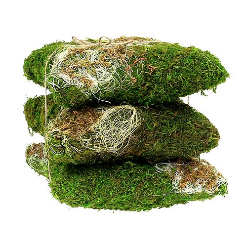 Floristik24 Almofada de musgo para plantar 20cm x 20cm 3 unidades