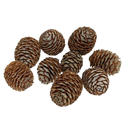 Cones Murii naturais 500g