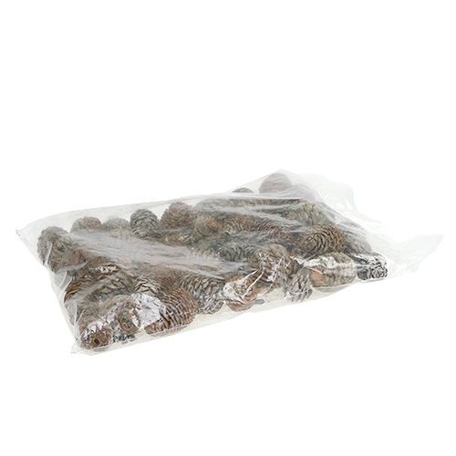 Floristik24 Cones Murii naturais 500g