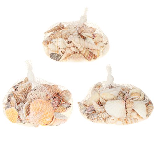 Itens Decoração de concha caracol marinho natural 350g × 3 unidades