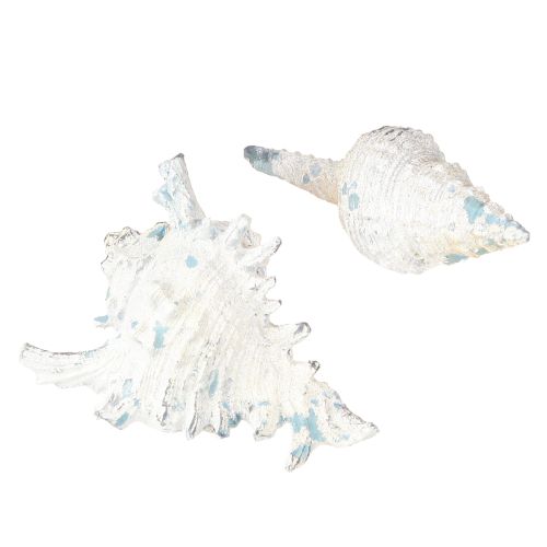 Itens Decoração de concha caracol marinho artificial azul-branco 11,5/13cm 2 peças