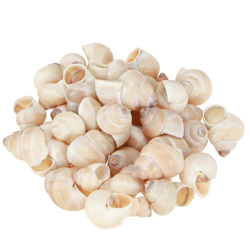 Mexilhão Umachi 500g