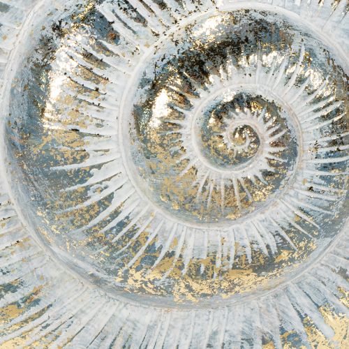 Itens Vaso decorativo em formato de caracol para decoração de parede com temas marítimos e naturais, cinza, 21 cm