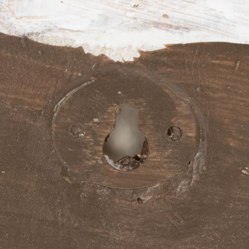 Itens Vaso decorativo em formato de caracol para decoração de parede com temas marítimos e naturais, cinza, 21 cm