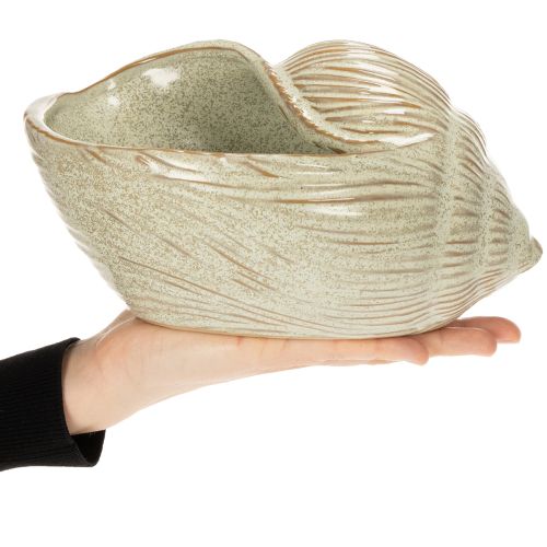 Itens Tigela de cerâmica com design de concha para decoração elegante na sala de estar, 23 cm