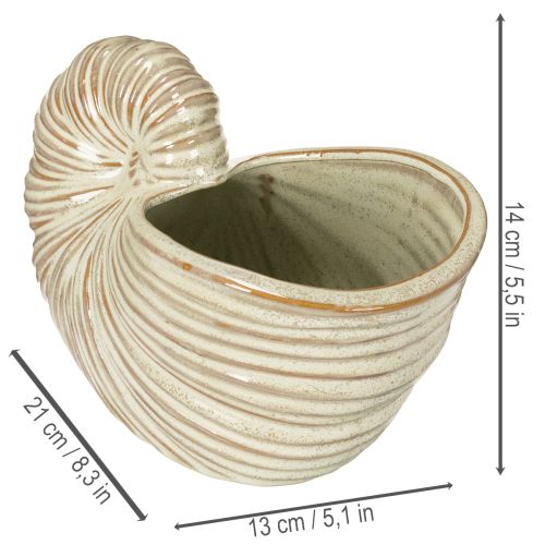 Itens Vaso de cerâmica com desenho de caracol para arranjos de plantas especiais, 21 cm