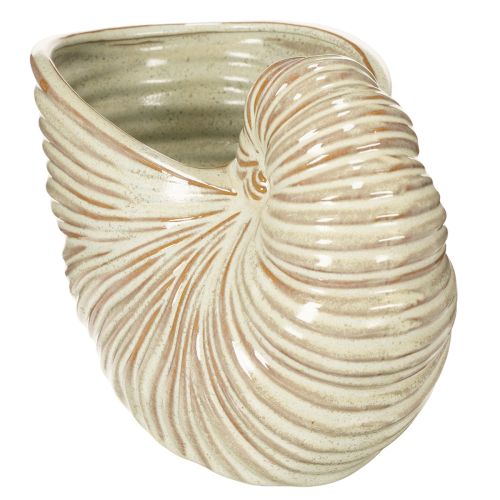 Itens Vaso de cerâmica com desenho de caracol para arranjos de plantas especiais, 21 cm
