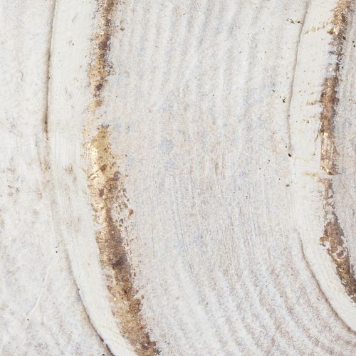 Itens Formato de concha decorativa para decoração marítima elegante, 44 cm