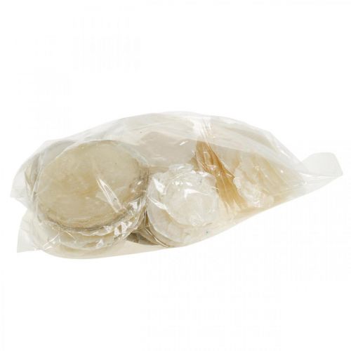 Itens Decoração de praia, conchas capiz 5-10cm, artigos naturais, madrepérola, marítima 1kg