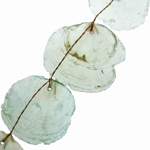 Floristik24 Concha Deco Capiz Guirlanda Concha Guirlanda Verde 100cm