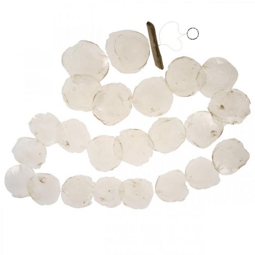 Floristik24 Guirlanda de Conchas Madrepérola Guirlanda de Conchas Capiz 195cm