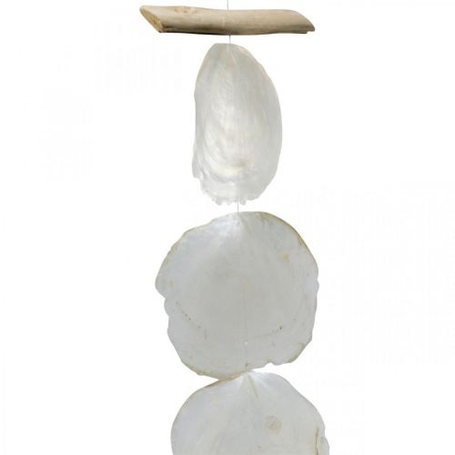 Floristik24 Guirlanda de Conchas Madrepérola Guirlanda de Conchas Capiz 195cm