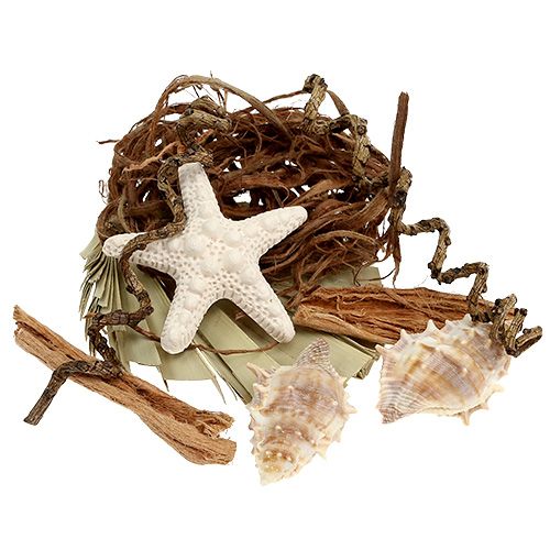 Floristik24 Mistura de conchas e estrelas do mar para artesanato 150g