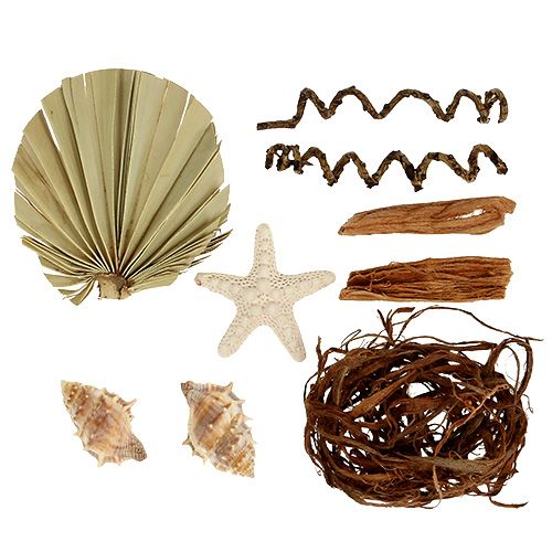 Floristik24 Mistura de conchas e estrelas do mar para artesanato 150g