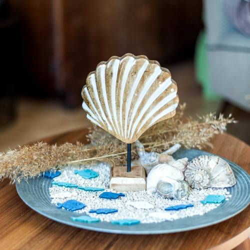 Floristik24 Concha com base de madeira branca, natural 20 × 14cm Decoração marítima para a sala
