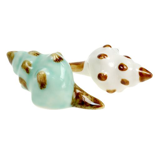 Floristik24 Tipo de concha de porcelana. 9,5 cm 2 peças