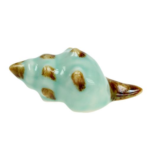 Floristik24 Tipo de concha de porcelana. 9,5 cm 2 peças