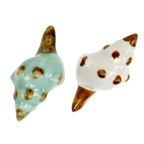Floristik24 Tipo de concha de porcelana. 9,5 cm 2 peças