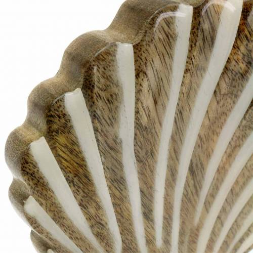 Floristik24 Concha com base de madeira branca, natural 20 × 14cm Decoração marítima para a sala