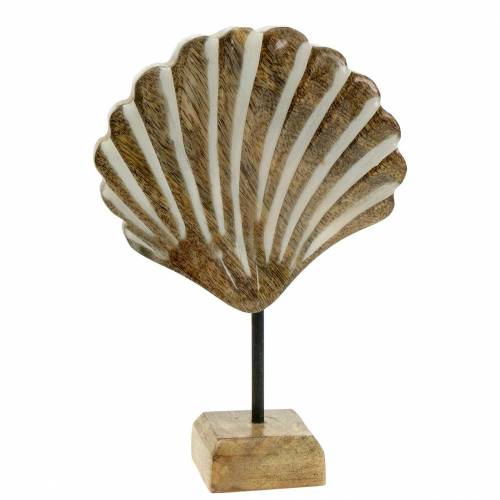 Floristik24 Concha com base de madeira branca, natural 20 × 14cm Decoração marítima para a sala