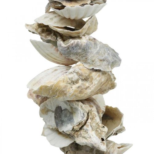 Itens Guirlanda de conchas, decoração de verão, conchas em fita, decoração do mar cores naturais L60cm