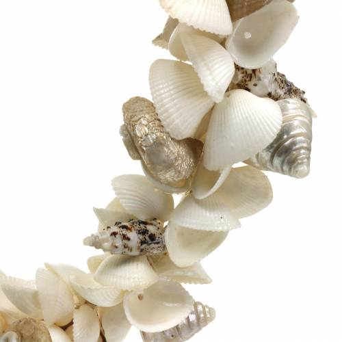 Floristik24 Grinalda de concha branco natural Ø40cm