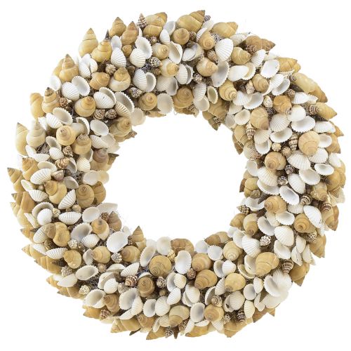 Floristik24 Coroa de conchas conchas caracóis do mar branco natural Ø35cm