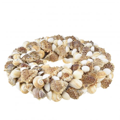 Floristik24 Coroa de conchas de caracol para pendurar coco natural Ø25cm