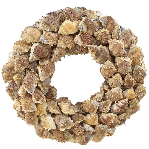 Itens Guirlanda de concha decoração de parede guirlanda decorativa natural para pendurar Ø35cm