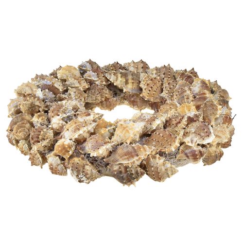 Itens Guirlanda de concha decoração de parede guirlanda decorativa natural para pendurar Ø35cm
