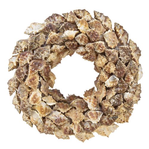 Floristik24 Guirlanda de conchas para pendurar decoração de conchas de coco marrom Ø24cm