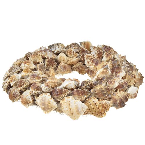 Itens Guirlanda de conchas para pendurar decoração de conchas de coco marrom Ø24cm