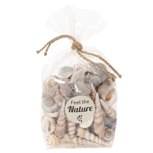 Itens Conchas e caracóis. Artigos decorativos marítimos naturais para uma decoração de interiores elegante. 500g