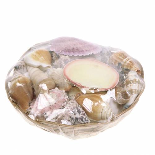 Floristik24 Mistura de conchas em cesto natural Ø15cm 420g