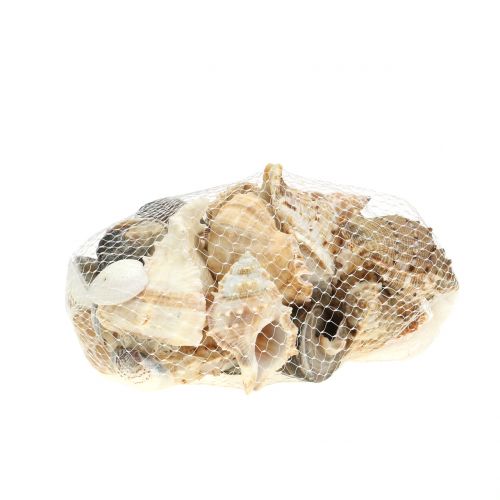 Floristik24 Variedade de casca natural 500g