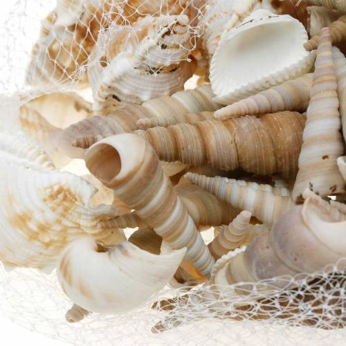 Itens Mistura de conchas e conchas de caracol em rede natural 400g