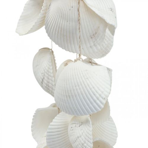 Floristik24 Guirlanda de conchas Decoração marítima Guirlanda de conchas L87cm
