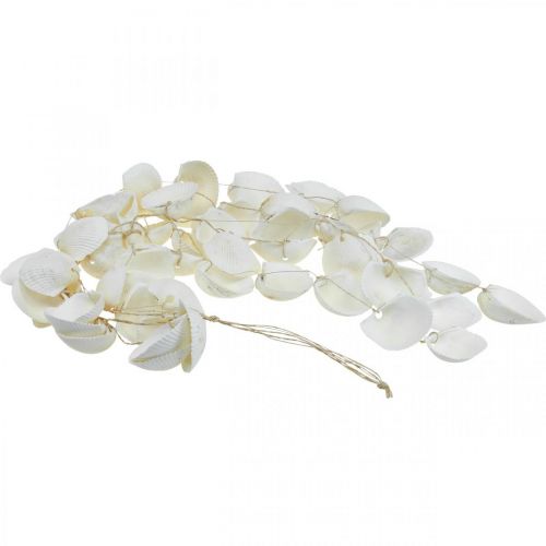 Floristik24 Guirlanda de conchas Decoração marítima Guirlanda de conchas L87cm