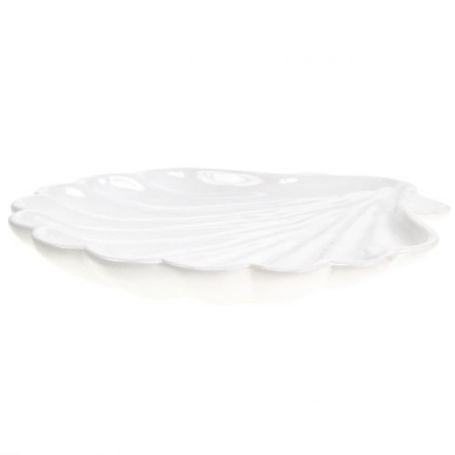 Floristik24 Concha decorativa branca 15 cm x 16 cm 3 unidades