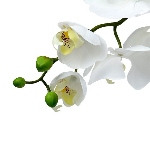 Itens Orquídea Mariposa 75cm Branca