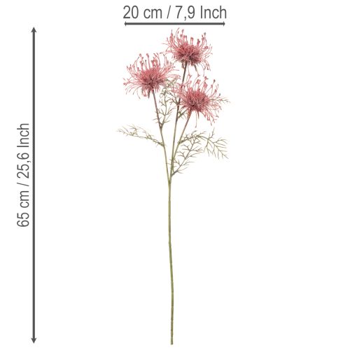 Itens Ramo artificial de protea florida, 65 cm, 3 peças