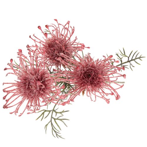 Ramo artificial de protea florida, 65 cm, 3 peças | Floristik24.pt