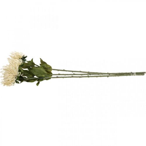 Itens Almofada de alfinetes flores artificiais exóticas Protea Leucospermum creme 73cm 3 unidades
